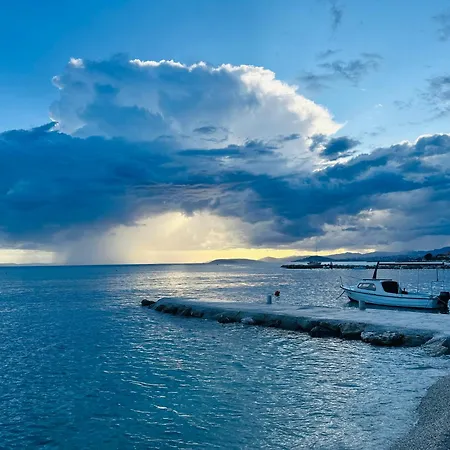 Mutogras 珀德垂那